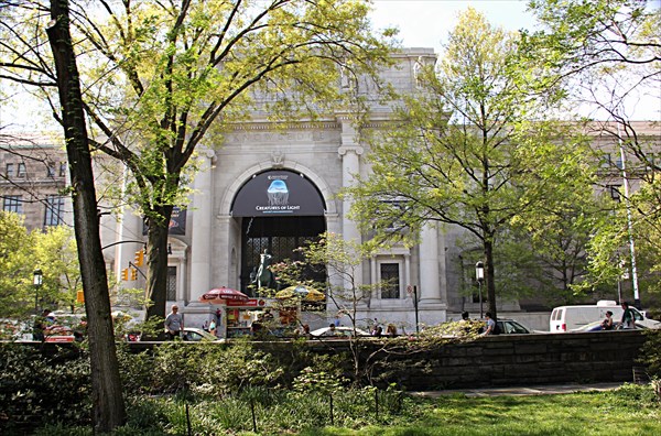 126-Американский музей естественной истории